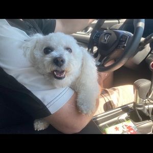 Meet your Posher, Abby